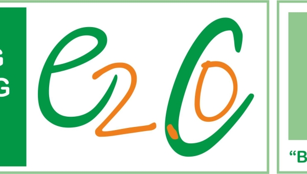 VIRTUAL LIFELONG LEARNING E2.0C CENTERS